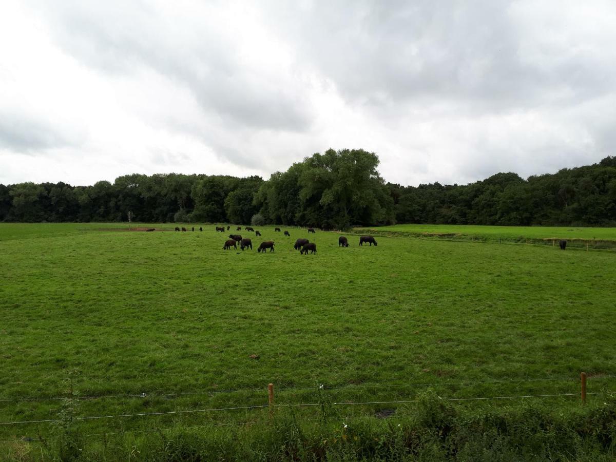 Gastenverblijf 'T Nagtegaeltje Sint-Oedenrode Luaran gambar