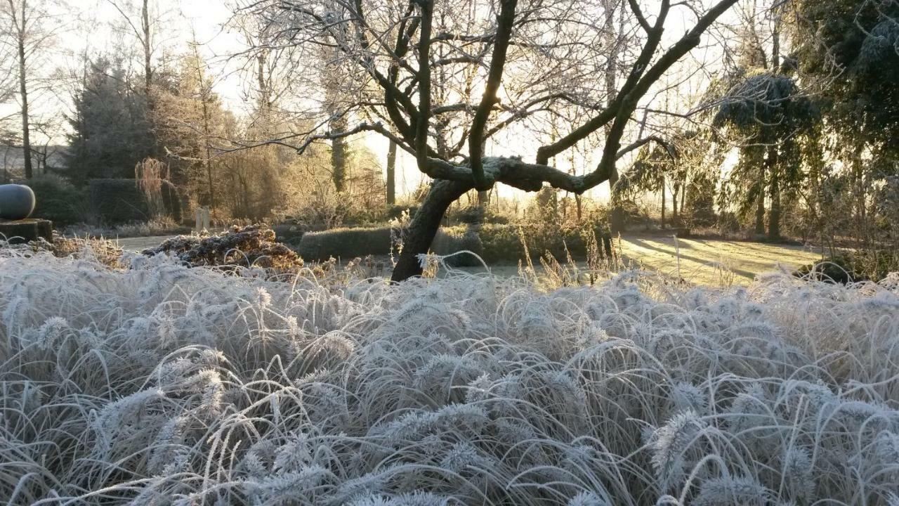Gastenverblijf 'T Nagtegaeltje Sint-Oedenrode Luaran gambar